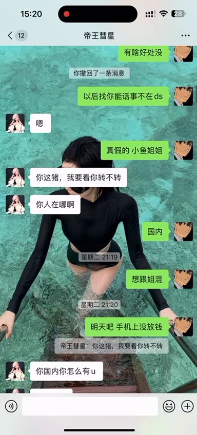 元素精灵｜游戏实录